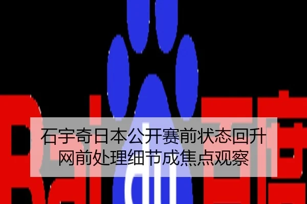 石宇奇日本公开赛前状态回升 网前处理细节成焦点观察