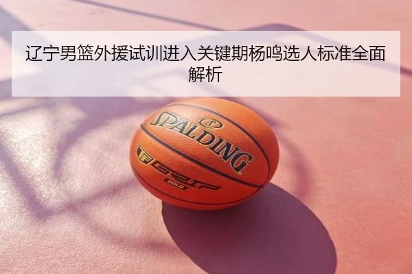 辽宁男篮外援试训进入关键期杨鸣选人标准全面解析
